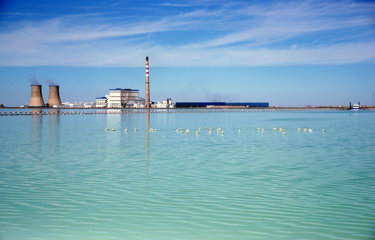 国投力求研制好钾肥——罗布泊硫酸钾_作物_肥料_土壤