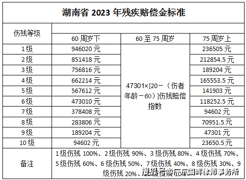 湖南省2023年度交通事故賠償標準表(最新)_傷殘_護理_鑑定