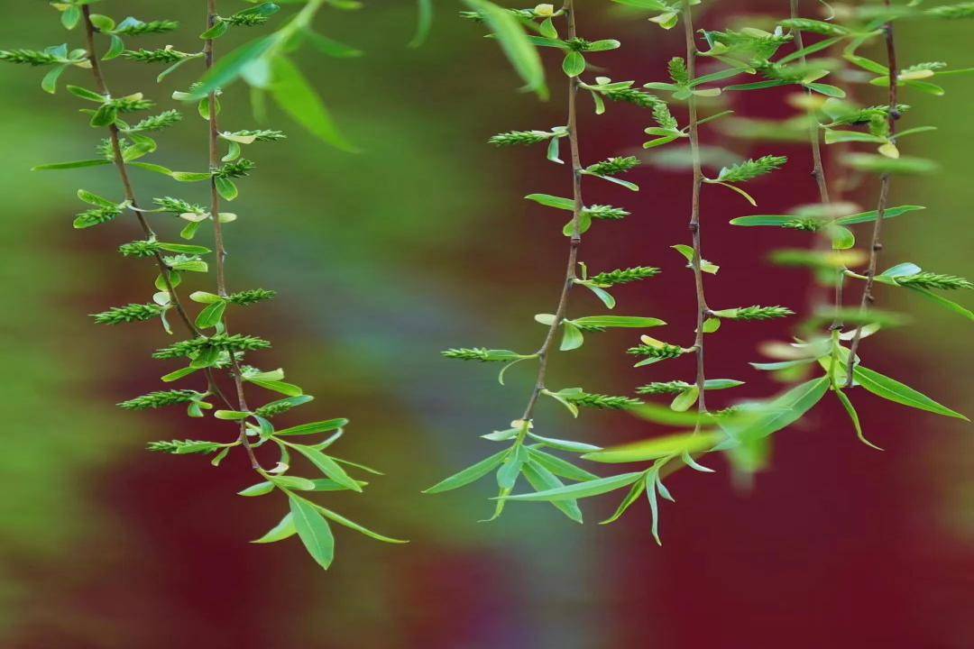 牧云溪谷,风采情趣而饱满,灵魂丰盈而澄澈_风景_心灵_生活