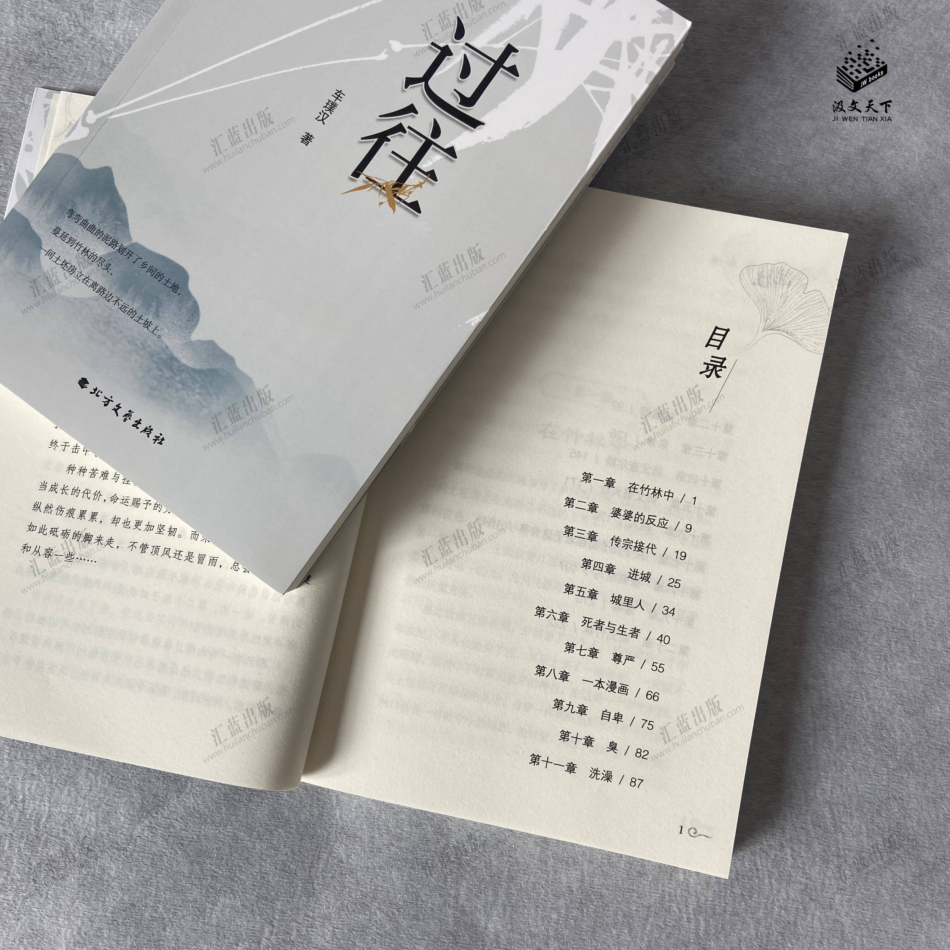 《过往》车璞汉/著 汇蓝出版独家策划