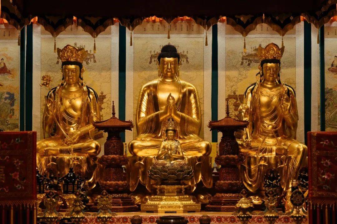 佛教中的三身佛、三世佛、三尊佛、三圣佛…都是哪尊佛?_释迦牟尼_菩萨_众生