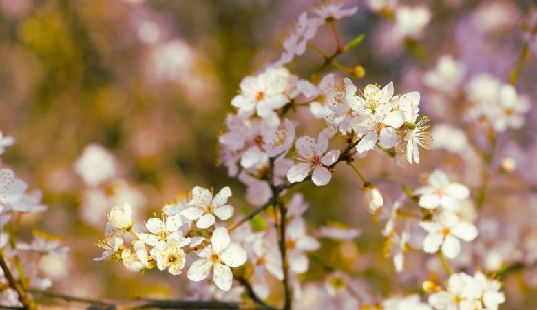 空调安装工又忙起来了，以旧换新成家电业最大动力-家电圈官网