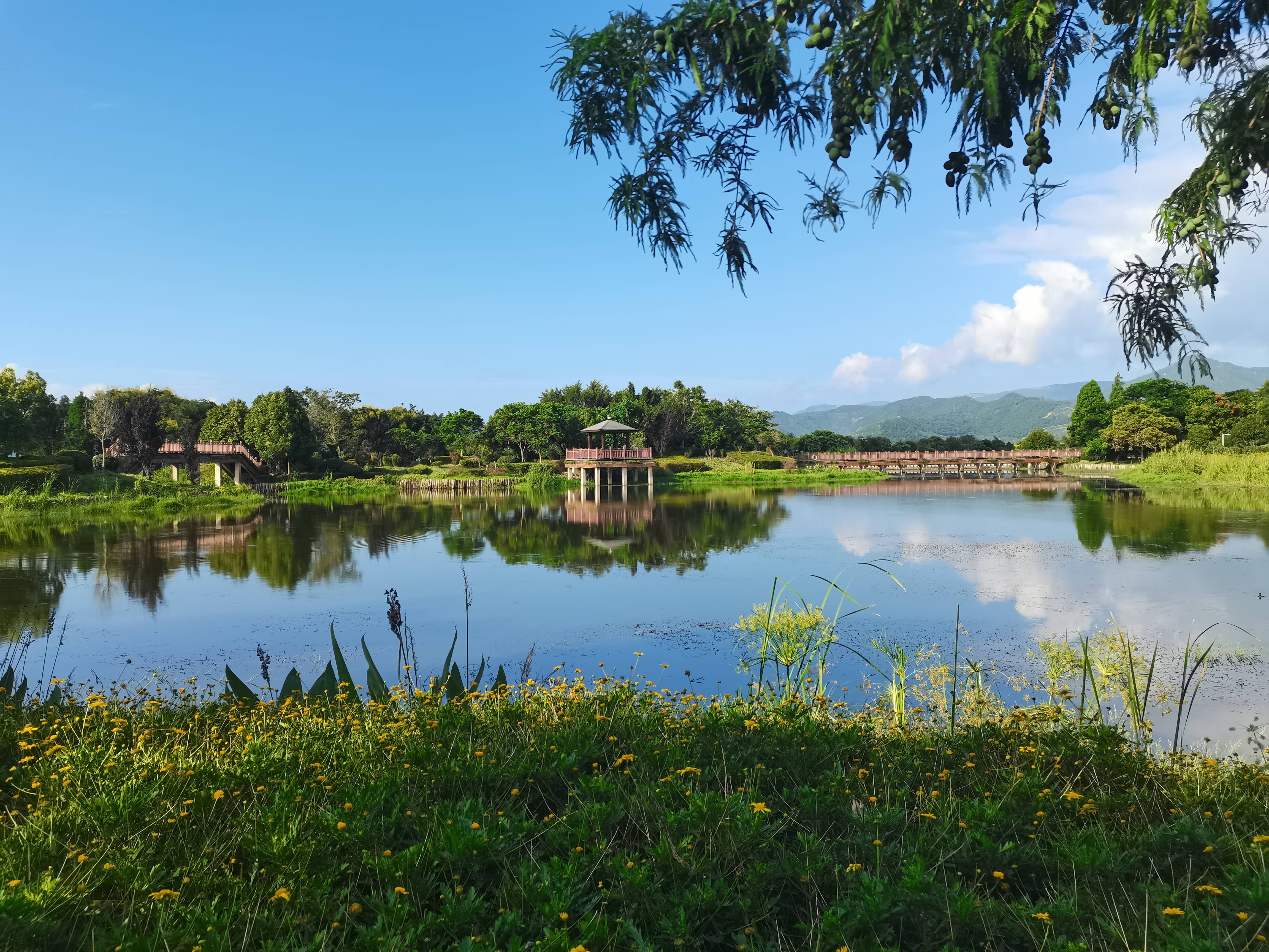 临沧行(二十六)石屏异龙湖