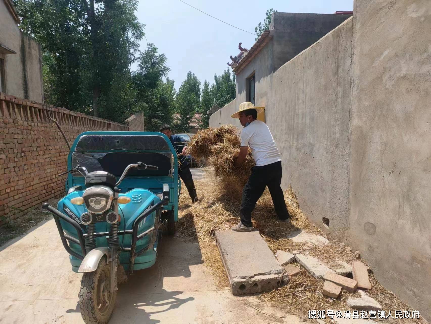 赵营镇:按下环境"美颜键" 擦亮"生态宜居星"_工作_人居_整治