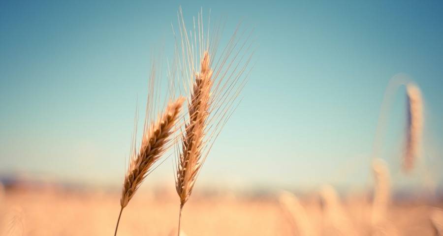 家电市场618还缺把火：美的海信格力扩版图，长虹小米美博谋变局-家电圈官网