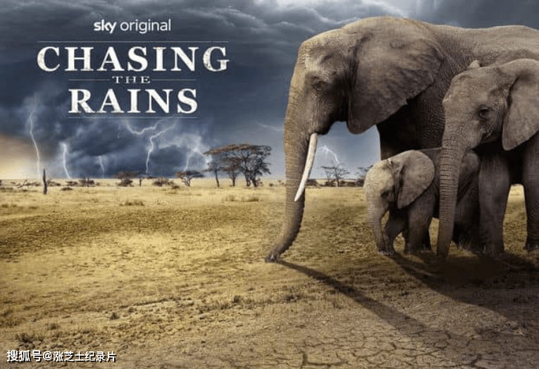 9489-BBC纪录片《追逐雨水 Chasing the Rains 2022》第一季全4集 英语中英双字 官方纯净版 1080P/MKV/13.9G 非洲野生动物