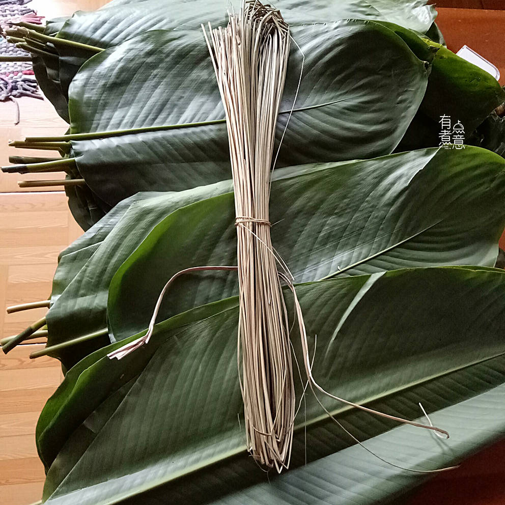 这5种粽子叶，清香不易烂，你认识几种_箬竹_叶片_包出