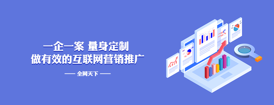 使用全网推广,打造全新的品牌形象_企业_团队_进行