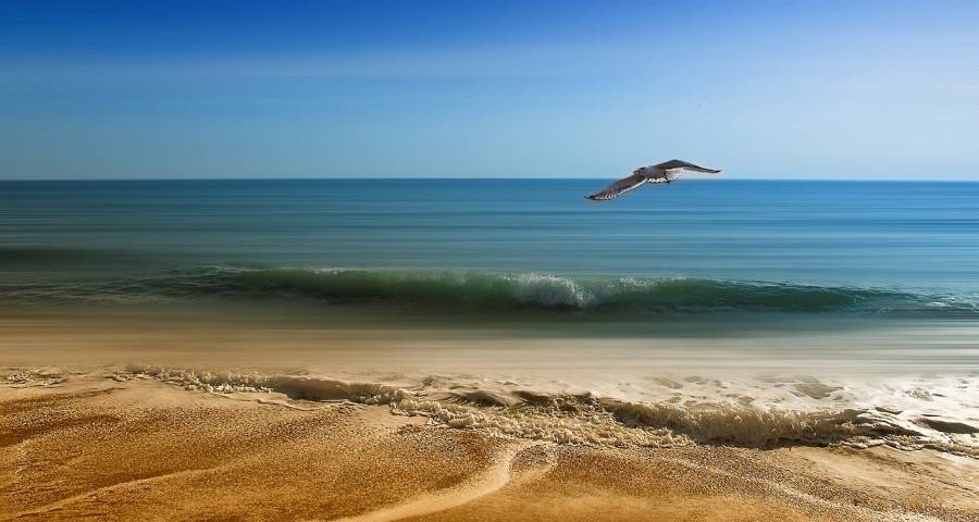 家电厂商进军家装渠道为何总亏损？-家电圈官网