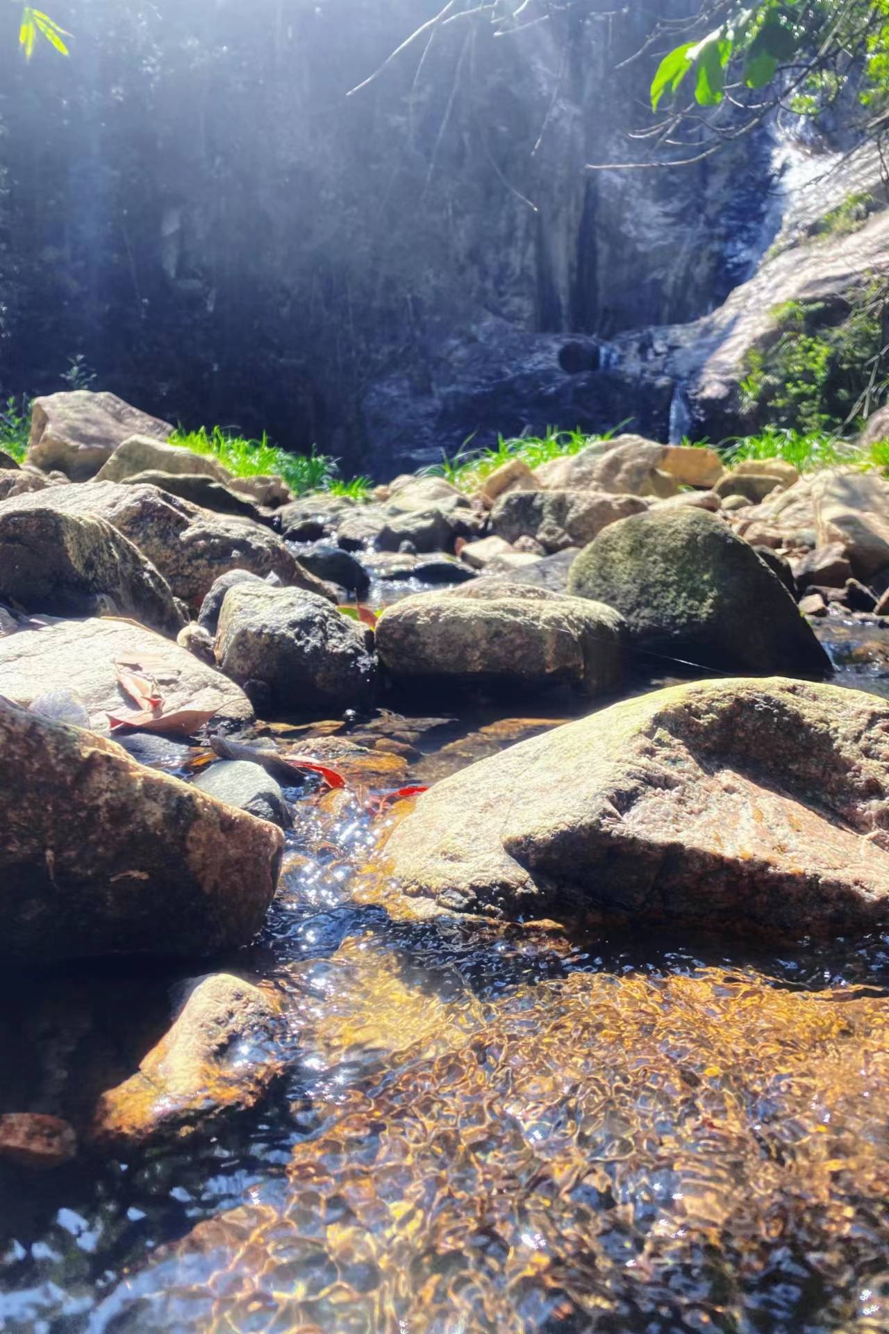 原创            听《七里香》的夏天，藏着我们回不去的青春