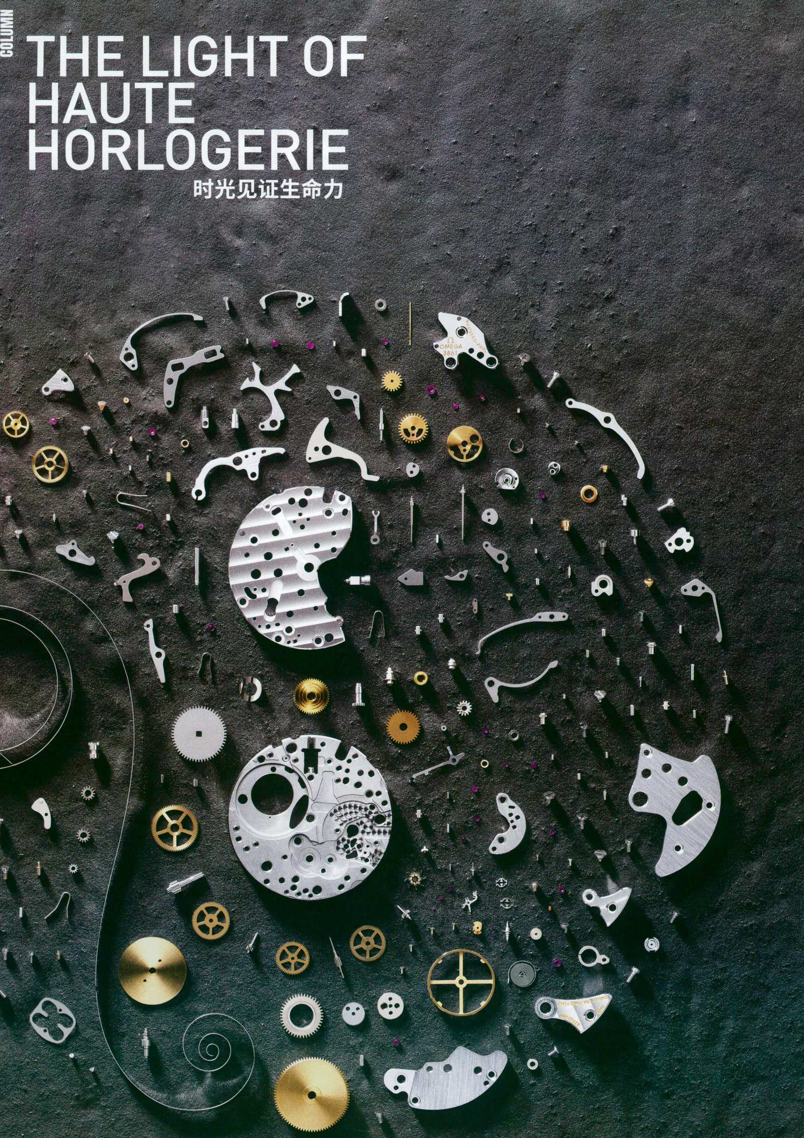 养父的花样年华40集全