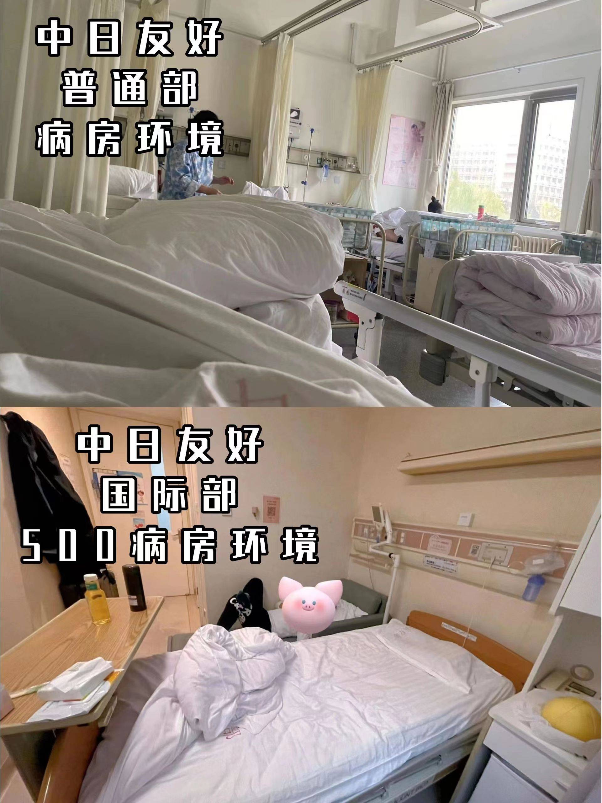 【中日友好医院】普通/国际 生产必看_北京_病房_订餐
