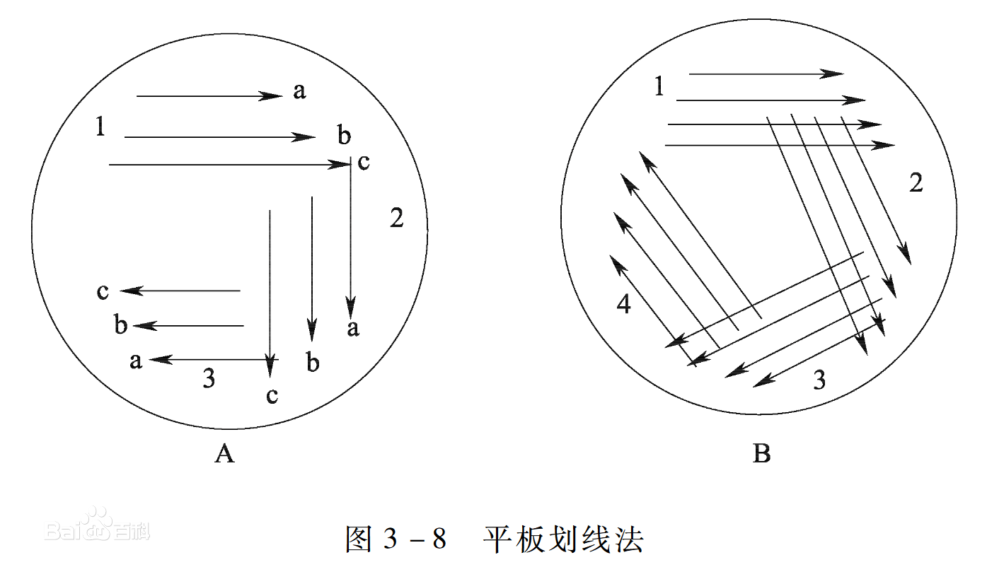 下面介绍的是用定量,半定量和定性方法评估生长率和选择性的方法