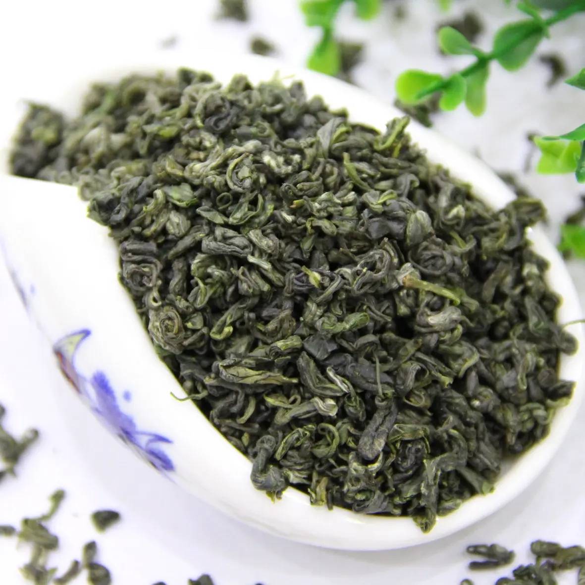 参展太原茶博会,梵净山千年古树茶大放异彩,期待与你共同品味!