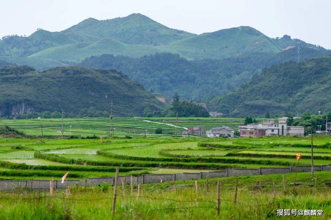自省,对一个人有多重要?_齐白石_曾国藩_才能