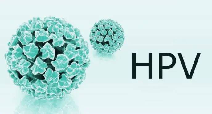 hpv都会通过哪些途径传播，这种方式感染率很高