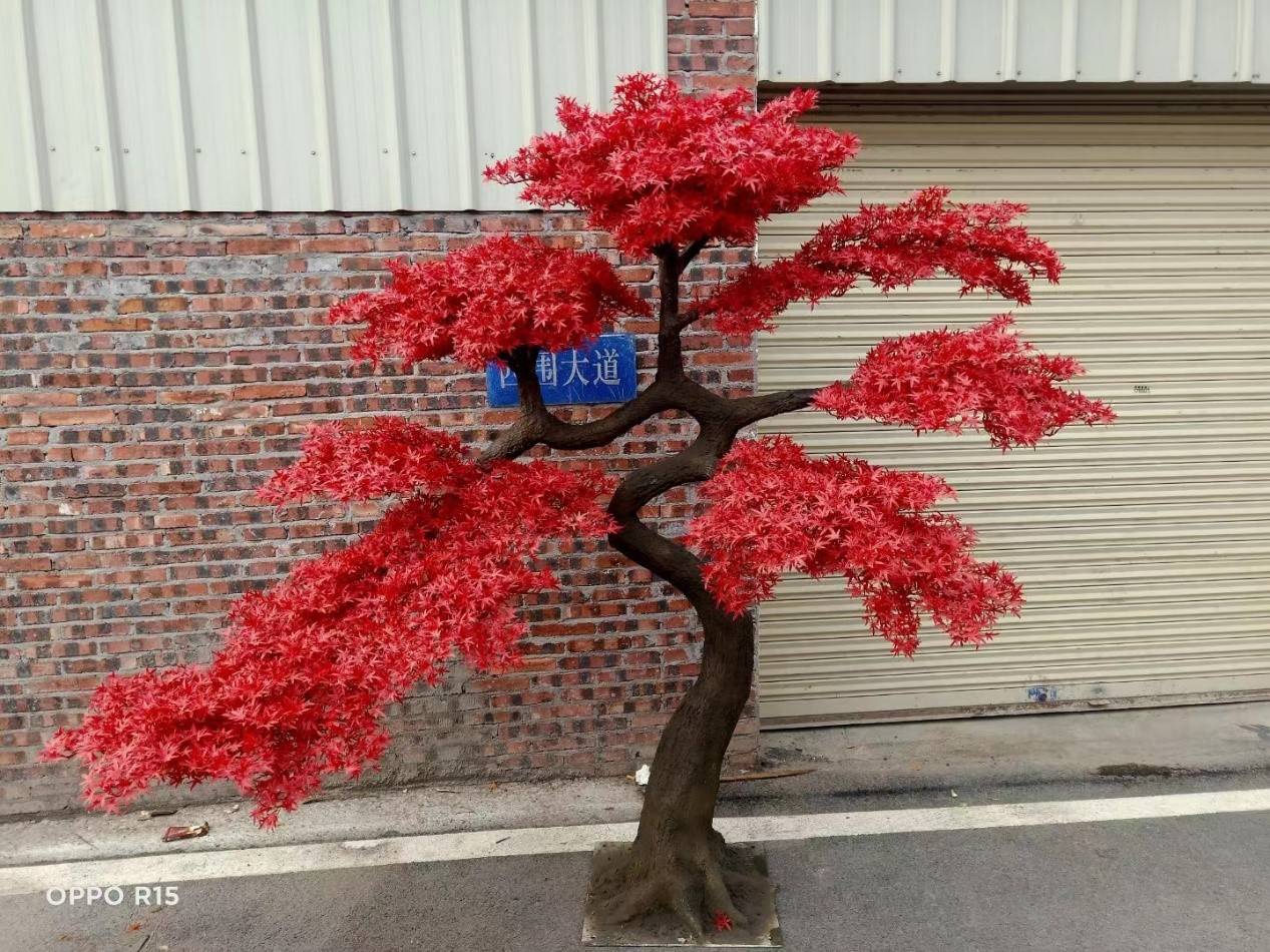 首先是两个造型相似,树干颜色相对的枫树,它整体的造型弯曲纤长,像