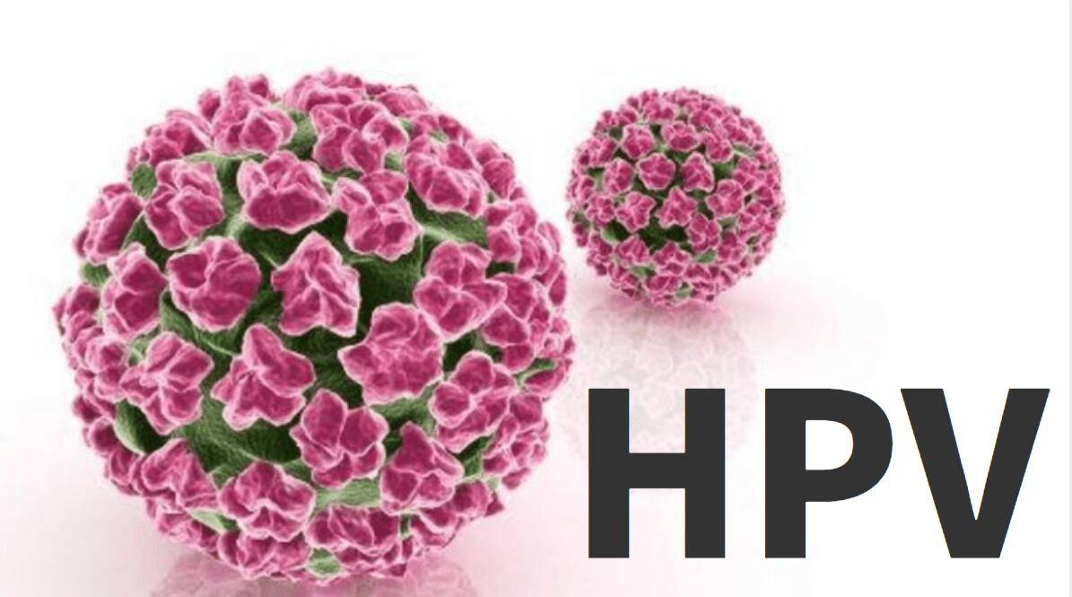 2、hpv59型感染严重 感染高危型人乳头瘤病毒59型后，如果侵犯到了子宫颈引起了宫颈高级别病变