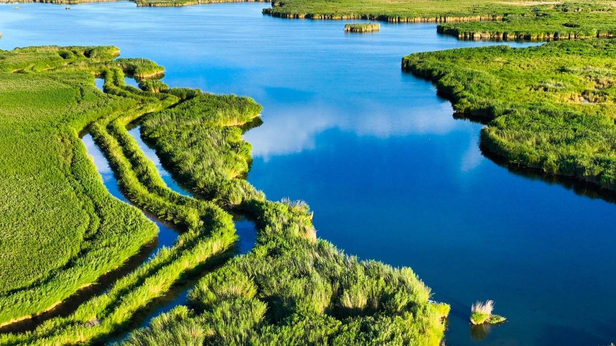 全国最大的内陆淡水湖,博斯腾湖有多美?_湖泊_湖区_焉耆