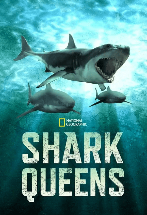9719-国家地理《女王鲨 Shark Queens 2022》英语多国中字 官方纯净版 1080P/MKV/2.56G 海洋统治者