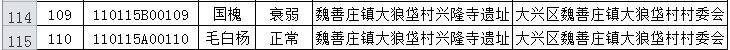 大兴区魏善庄镇大狼垡村兴隆寺遗址古树_毛白杨_杨树