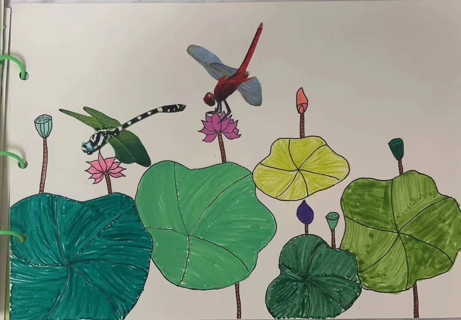 濮阳市油田第一小学:探寻大自然的奥秘_同学_动植物_绘本