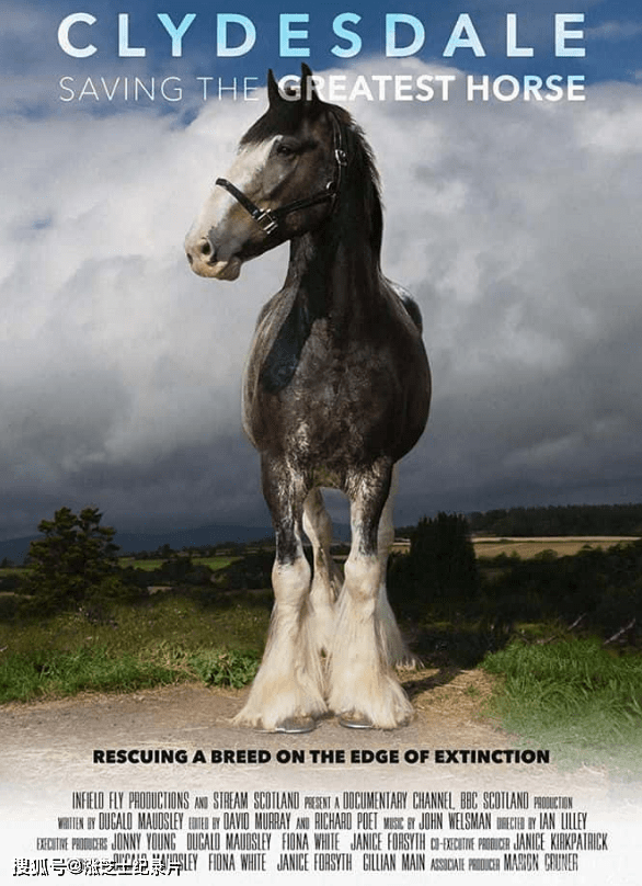 9872-CBC纪录片《拯救世界上最英武的骏马 Clydesdale: Saving the Greatest Horse 2020》英语中英双字 官方纯净版 1080P/MKV/1.1G 拯救苏格兰马