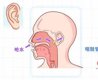 外耳道口的准确位置图片