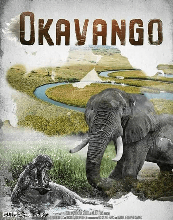 9858-国家地理《奥卡万戈：梦想之河 Okavango: River of Dreams 2019》英语多国中字 官方纯净版 1080P/MKV/5.46G 南非野生动物
