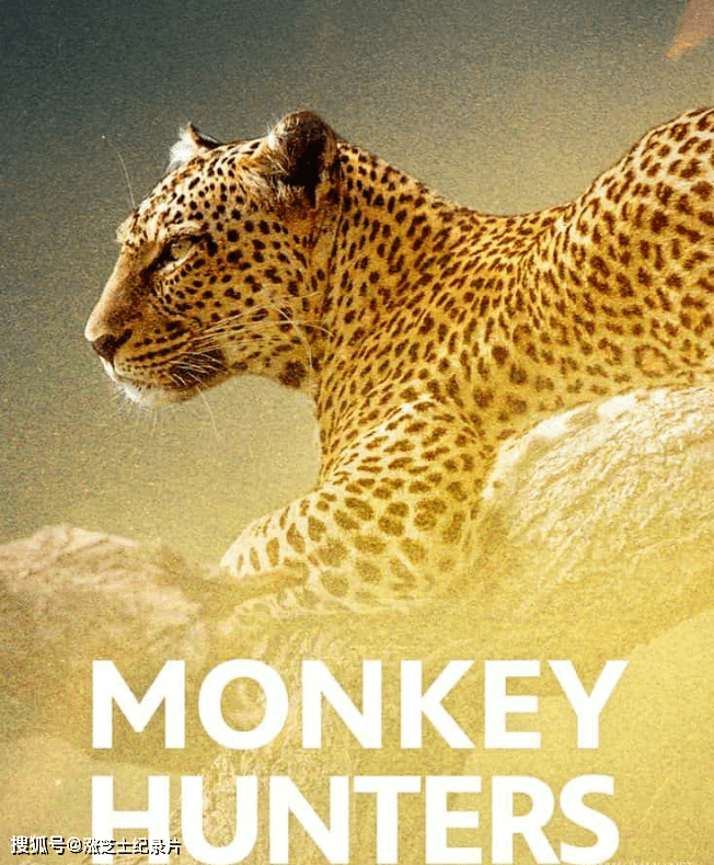 10070-美国纪录片《猴子猎人 Monkey Hunters 2023》1080P/MKV/3.77G 捕猎狒狒