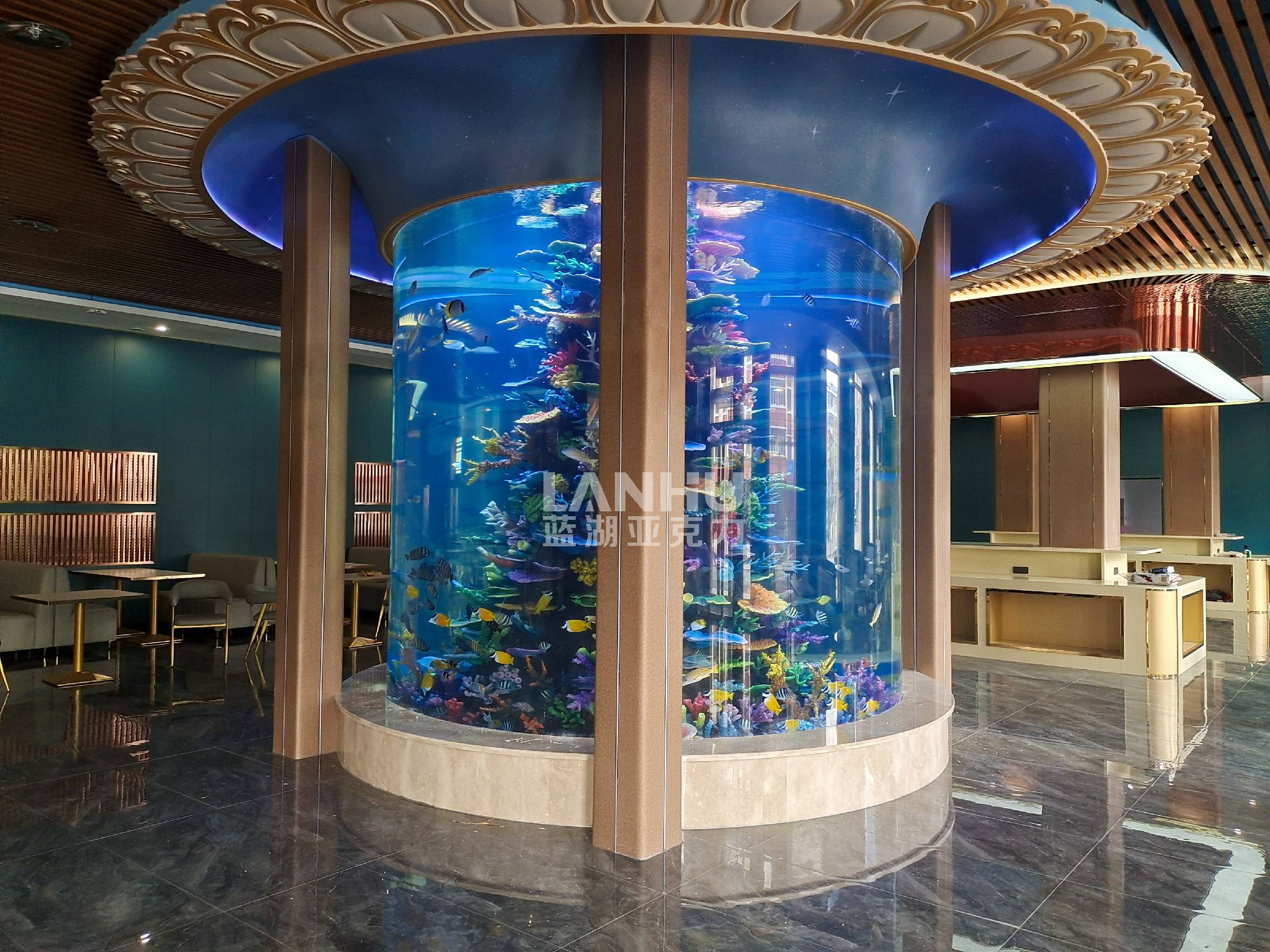 定制大型亚克力鱼缸的准备工作与注意事项_造型_空间_的需求
