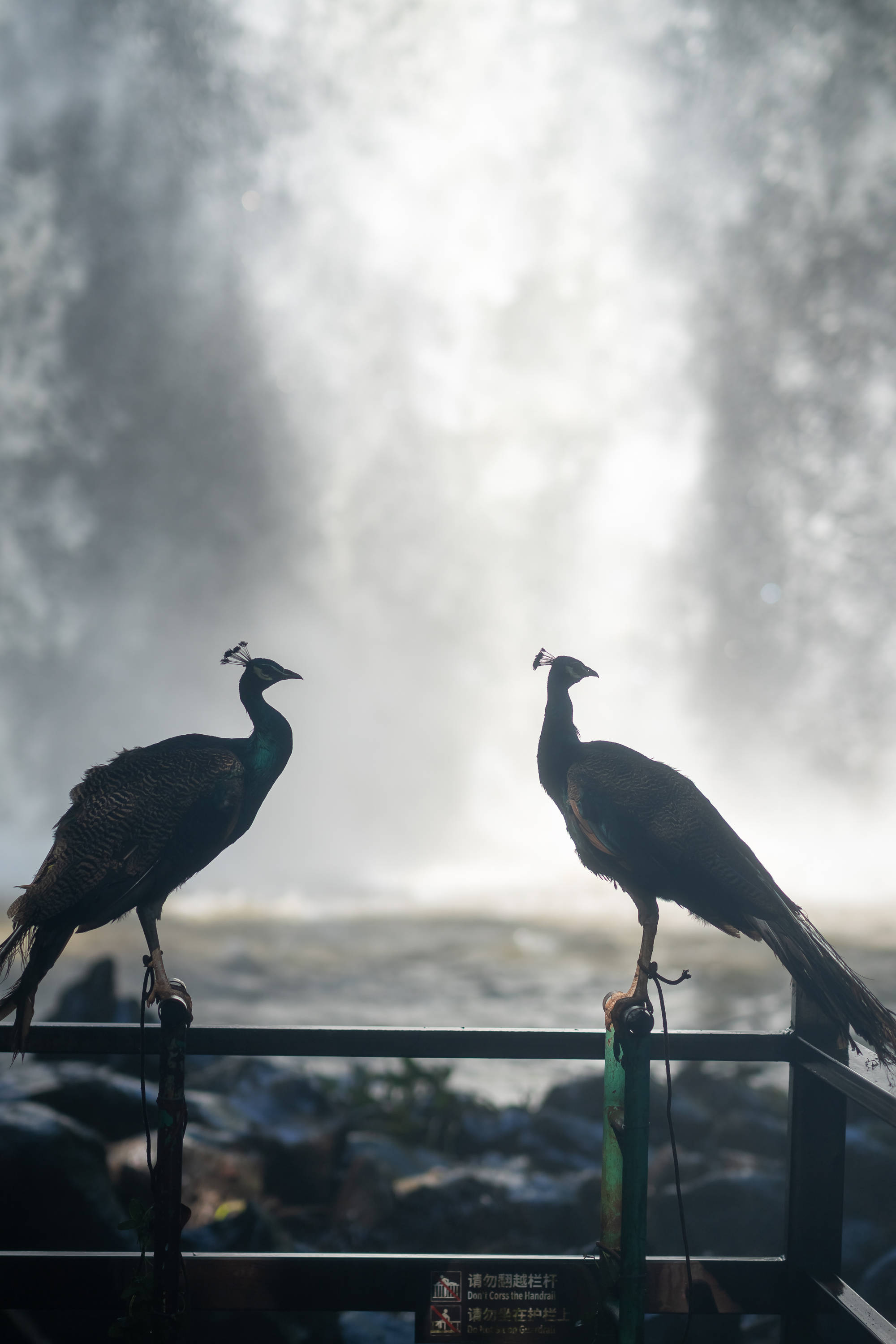 到临高不能错过的好去处——古银瀑布