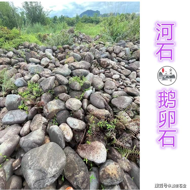 广东河石状似鹅卵石,吨位河石一吨多少元?搜狐大视野搜狐新闻