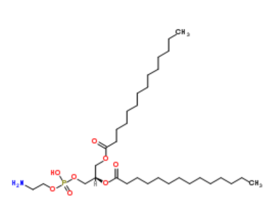 cas:998-07-2 1,2-十四酰基磷脂酰乙醇胺_-sn-_甘油_mmhg