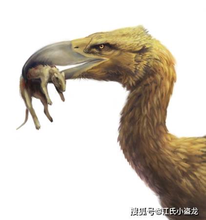 【史前巨鸟】南美洲的巨大恐怖鸟!