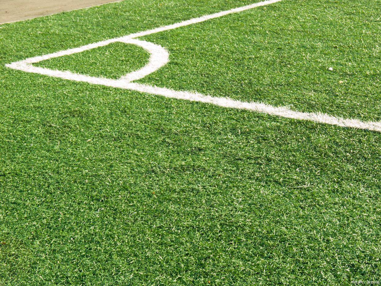 校园足球场选择人造草坪还是天然草坪?_成本_环境_外观