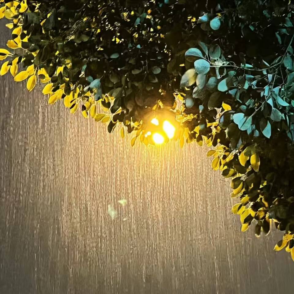 适合成年人发朋友圈的心酸文案，句句无奈又现实_搜狐网