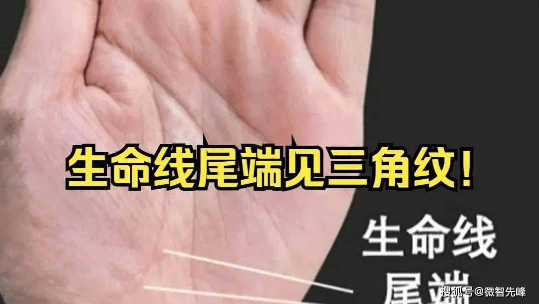 如果在生命线上出现三角纹,则意味着这个人可能会遭遇一些困难和坎坷