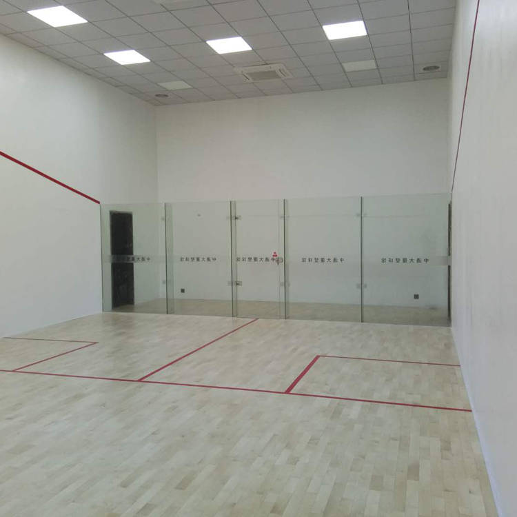 室内壁球馆建造,壁球馆施工_墙体_混凝土_模板