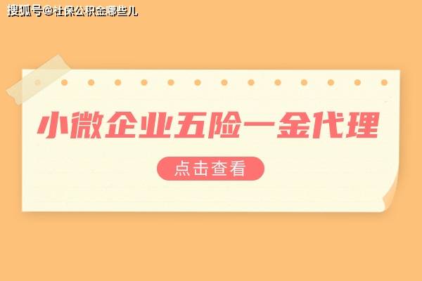 小微企業五險一金代理注意事項_公司_勞務_情況