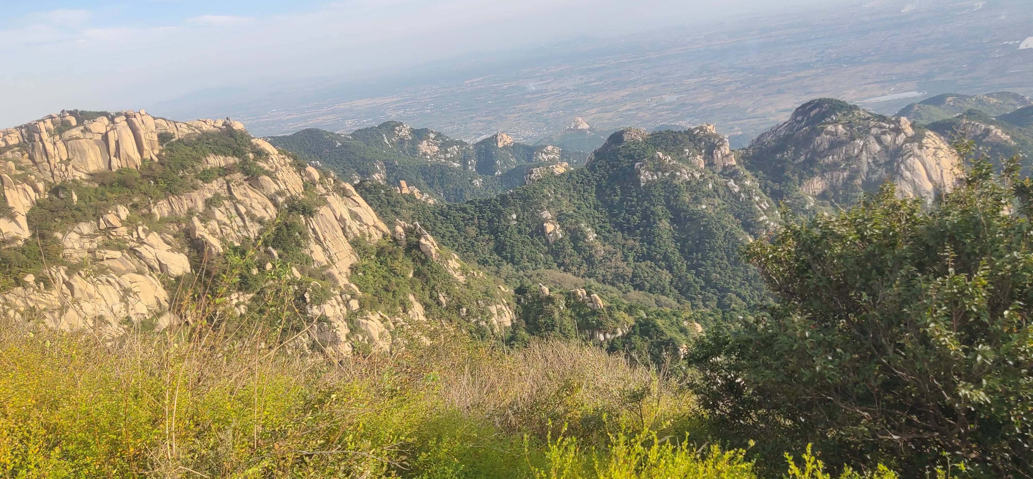 新泰新汶大寺山事件图片