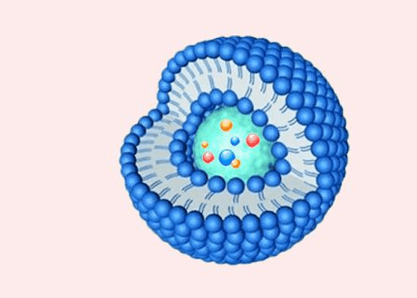 14:0-16:0 pc liposomes|14:0-18:0 pc lipos