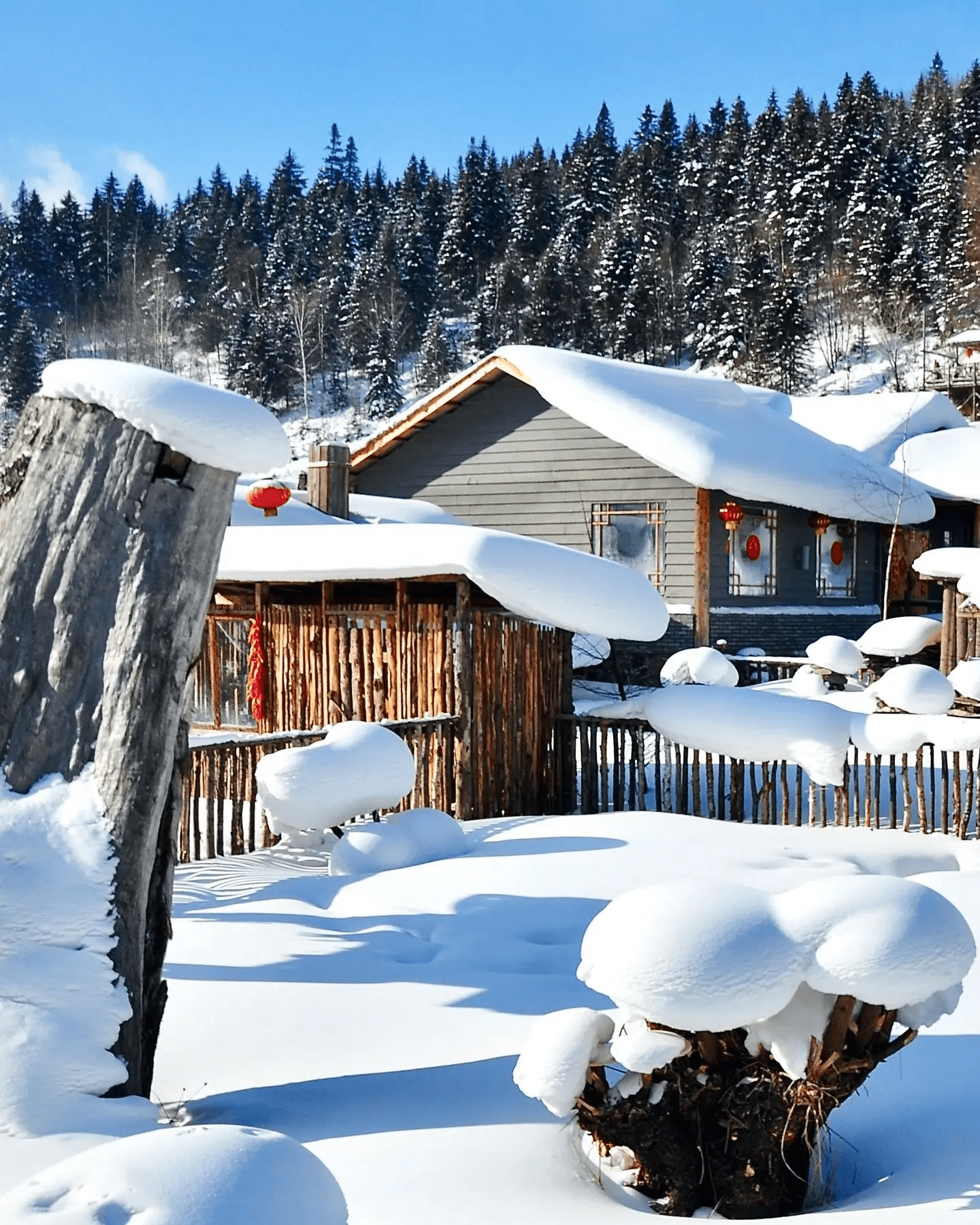 冬天农村雪景图片真实图片