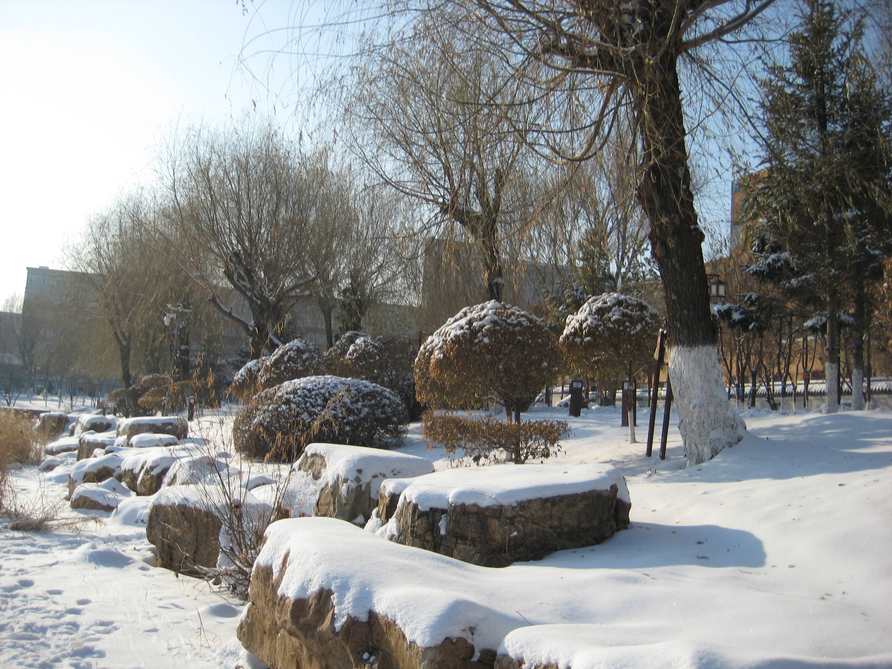 长春劳动公园雪景_冰雪节_前往_景观