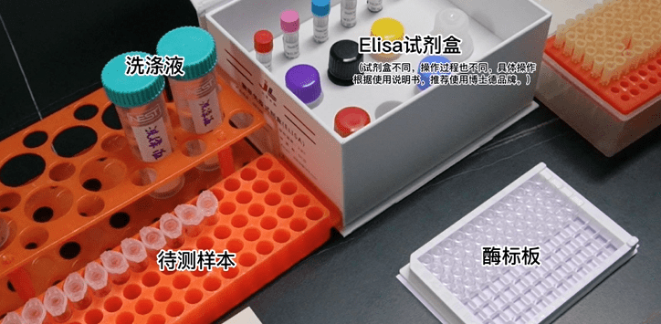 实操视频 图文 | elisa实验操作全过程_反应_min_检测