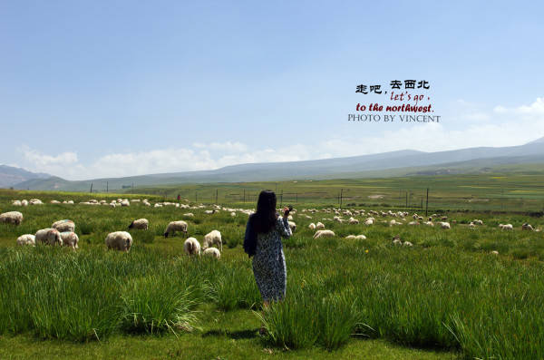 游青海，找西宁十大高端私人导游了解，到本地报团旅游报价是多少