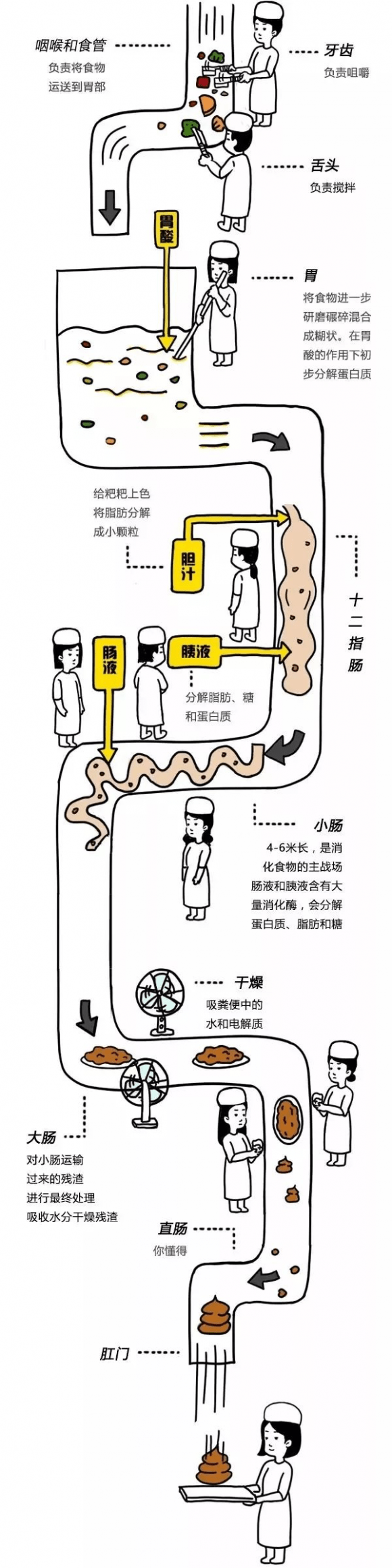 贵阳东大肛肠医院 大便变细就是肠癌?