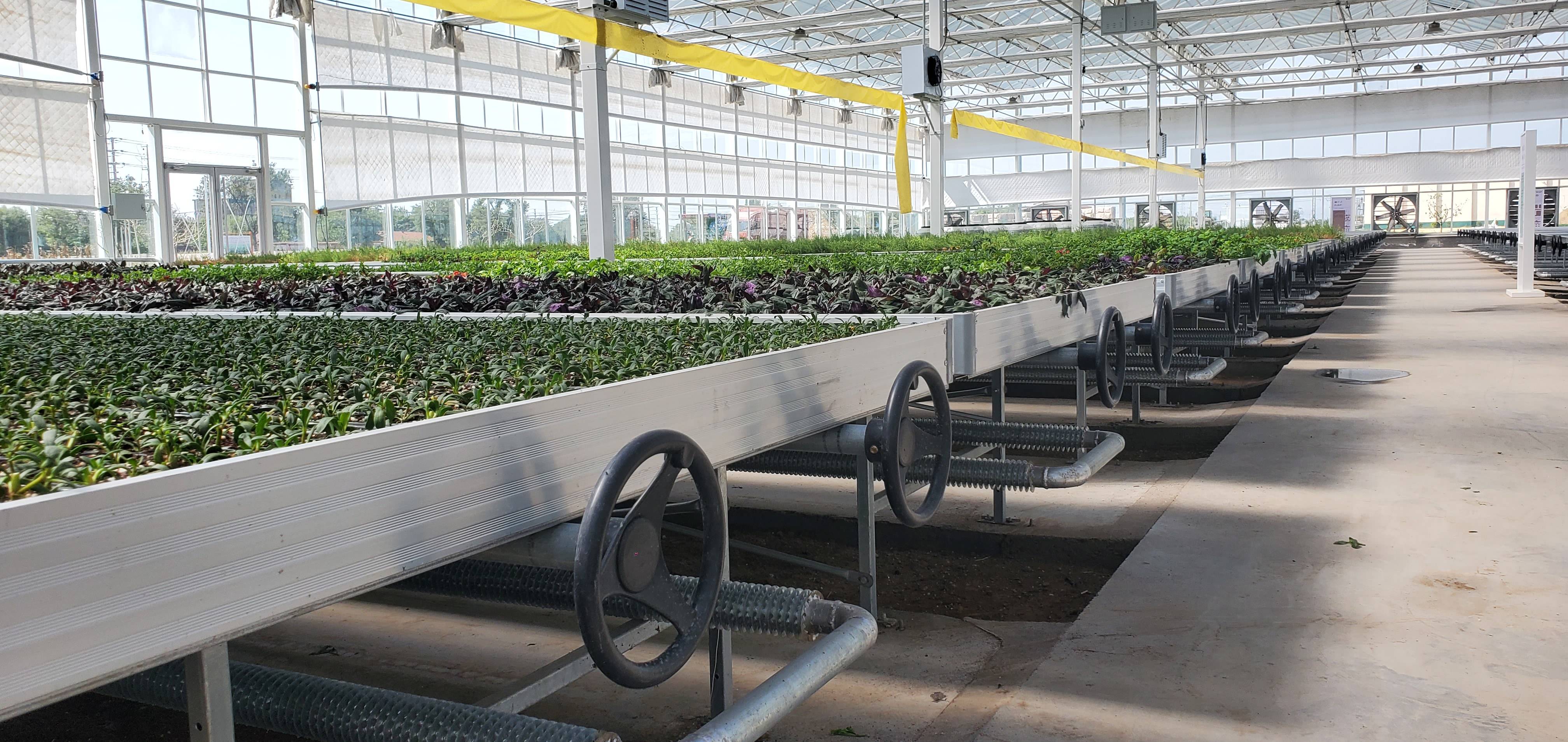 玻璃温室大棚建设