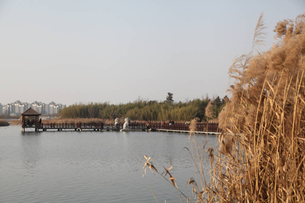 辞旧迎新 鄠邑渼陂湖在2023年最后半天开放 翘首期盼一年的游客惊喜