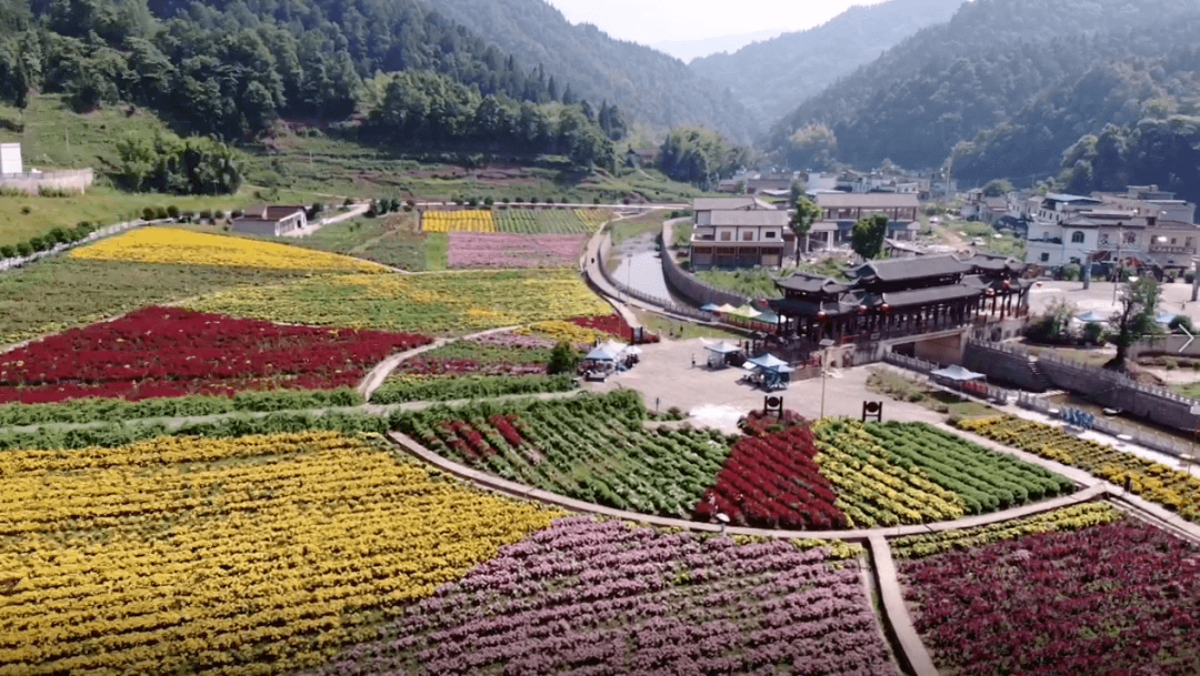 古蔺酒香花谷在哪儿图片